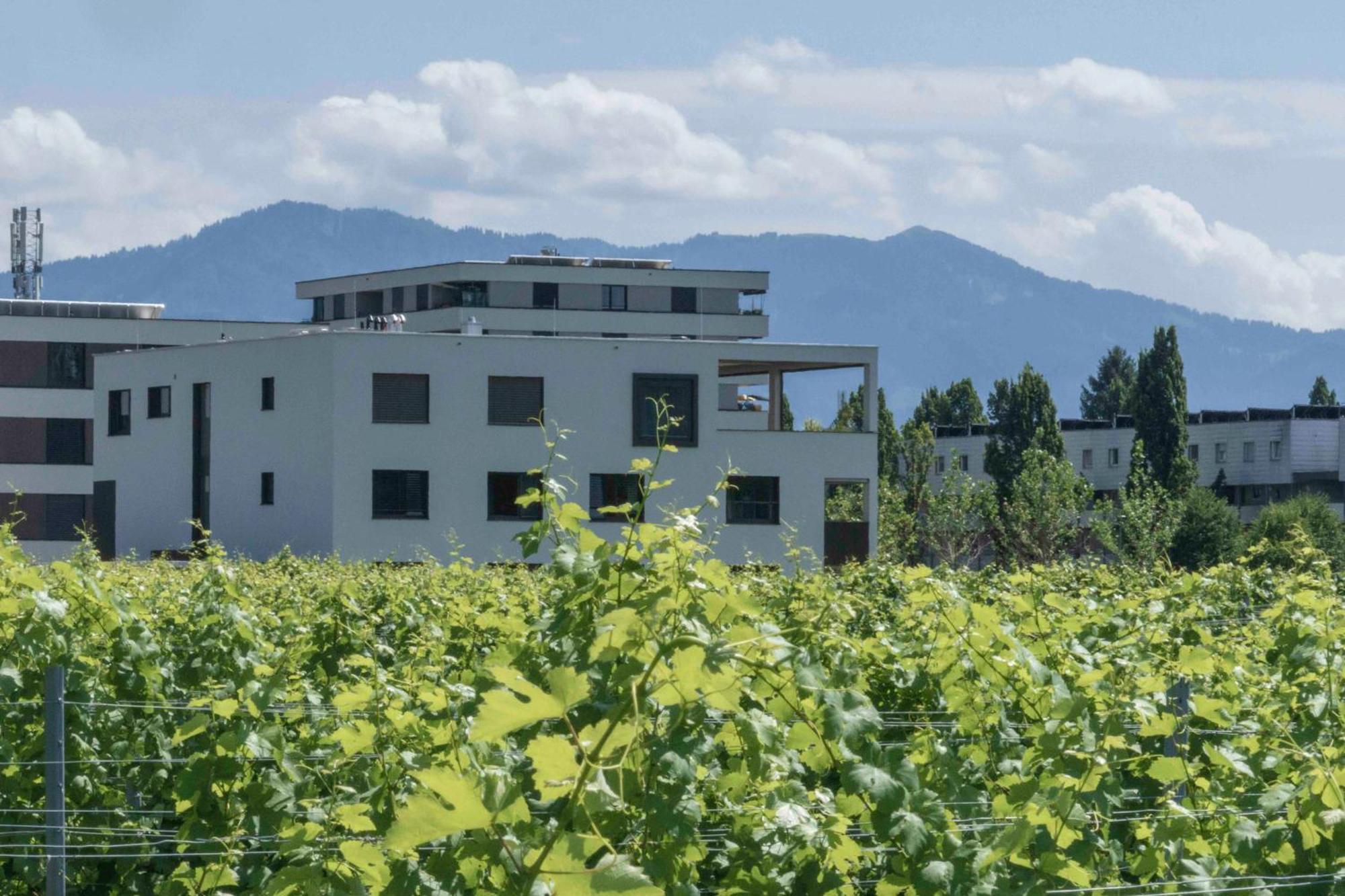 Welcome 73M2 Ferienwohnung 10 Min. Zum Bodensee Bregenz Exterior foto